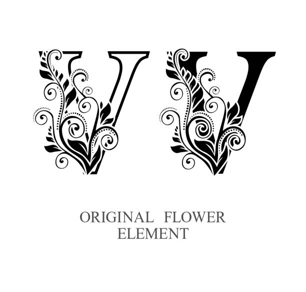 Elegant initial letters V in two color variations with botanical element. Vector letters logo design template set. Alphabet label sign for company branding and identity.Unique concept type as logotype. Elegant initial letters V in two color variations with botanical element. Vector letters logo design template set. Alphabet label sign for company branding and identity.Unique concept type as logotype drawing of a fancy letter v stock illustrations