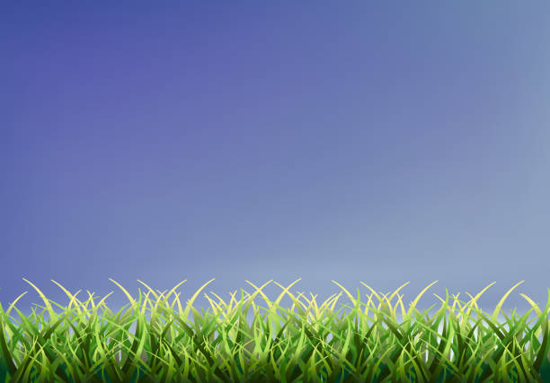 bildbanksillustrationer, clip art samt tecknat material och ikoner med eleganta vektor gräs gränsen med bakgrund himmel för påskhelgen - easter egg