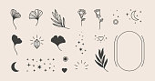 Elements for logo design - rose, Ginkgo Biloba Leaf, Stars, moon, Frame. Vector illustration in a minimal linear style. To create logos, prints, patterns, posters, and other designs