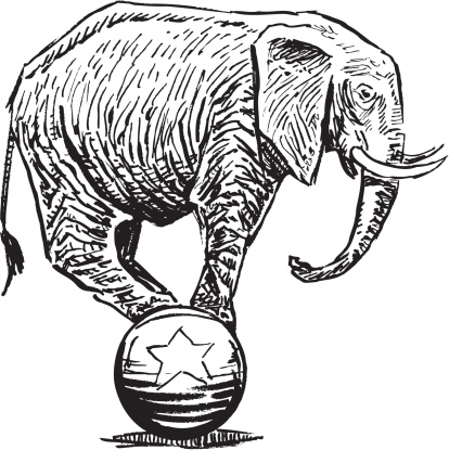 Elephant Balancing on Ball - Circus or Politics