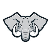 istock Elephant head mascot 863354668