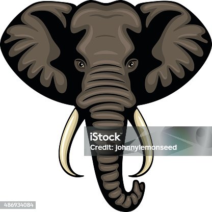 istock Elephant Head 486934084
