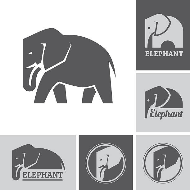 Elephant icons and symbols Set of elephant icons and symbols on white and dark backgrounds elephant stock illustrations