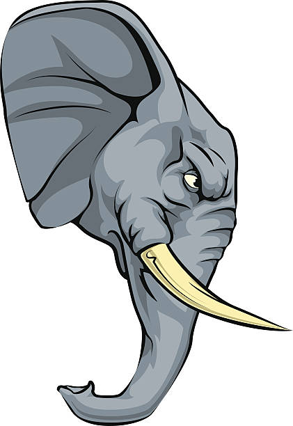 Royalty Free Elephant Tusk Clip Art, Vector Images ...