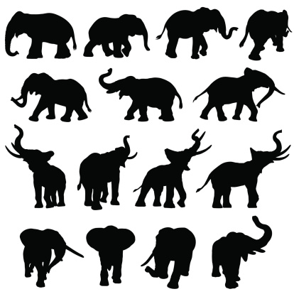 Elephant silhouette collection
