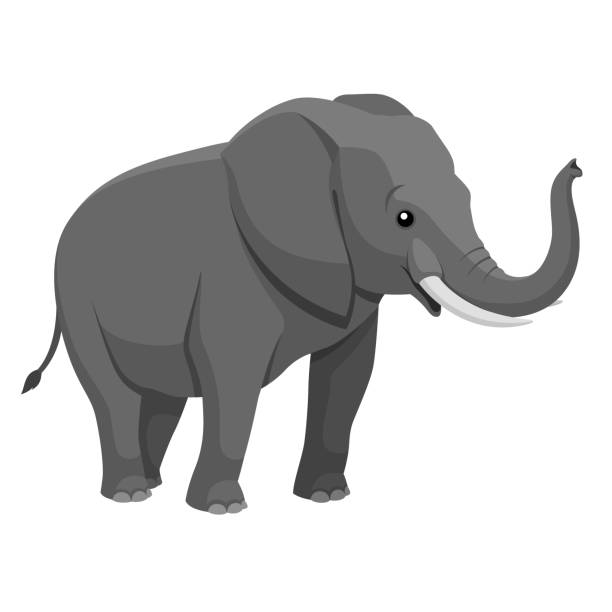 elephant Illustrationen visar en elefant elephant stock illustrations