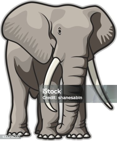 istock Elephant 472296237