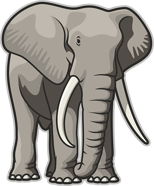Elephant Illustration of a bull elephant. File is organized into layers and download includes: JPG, EPS, PDF formats. elephant stock illustrations