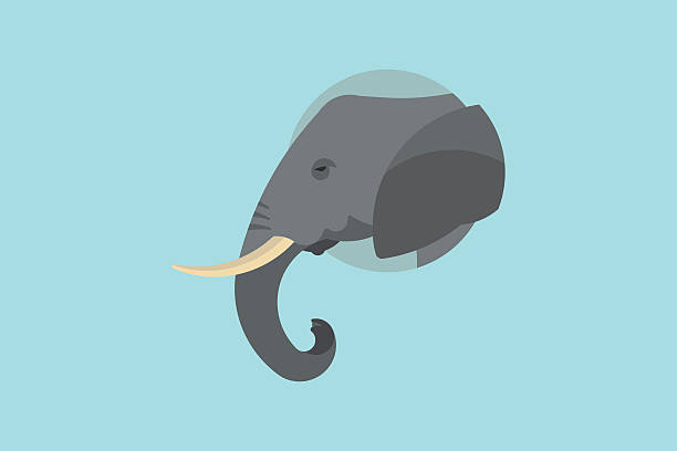 Elephant Head side shot of a grey elephant elephant trunk stock illustrations