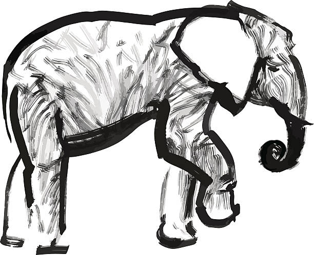Best Drawing Of The Side View Elephant Illustrations ...