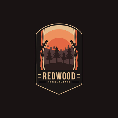Emblem patch vector illustration of Redwood National Park on dark background