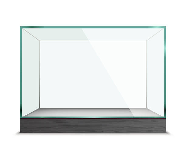 Empty Glass Showcase For Exhibit