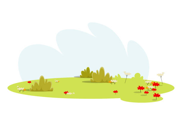 Empty meadow, lawn flat vector illustration Empty meadow, lawn flat vector illustration. Beautiful green glade with no people isolated on white background. Outdoor rest, picnic, barbecue place. Spring, summer nature, rural scenery with flowers park stock illustrations