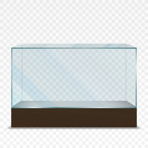 Empty transparent horizontal glass showcase Vector illustration of  transparent horizontal glass showcase on plain backgrounds aquarium stock illustrations