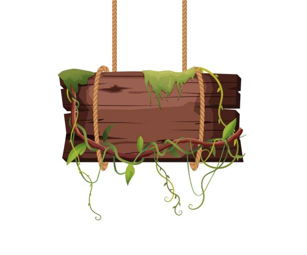 stockillustraties, clipart, cartoons en iconen met empty wooden planks hanging on ropes with liana branches and tropical leaves. retro banners for game. cartoon vector illustration. - plankje plant touw