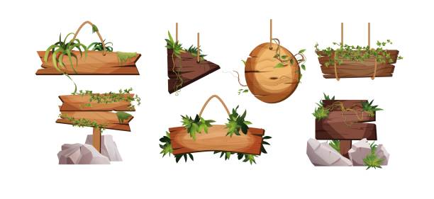 stockillustraties, clipart, cartoons en iconen met empty wooden planks hanging on ropes with liana branches and tropical leaves. set of vintage, retro banners for game. - plankje plant touw