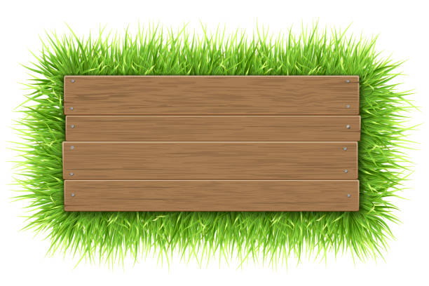 Wooden Garden Stakes Illustrations Royalty Free Vector Graphics