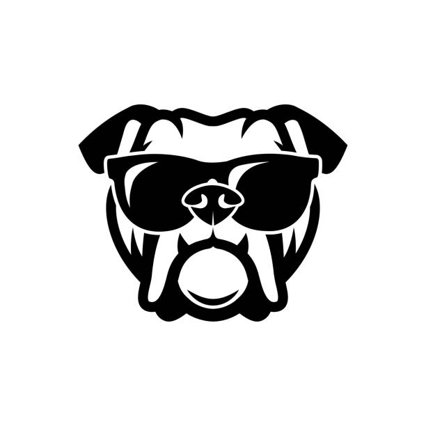 bildbanksillustrationer, clip art samt tecknat material och ikoner med engelsk bulldogg bär solglasögon - isolerade beskrivs vektorillustration - bulldog