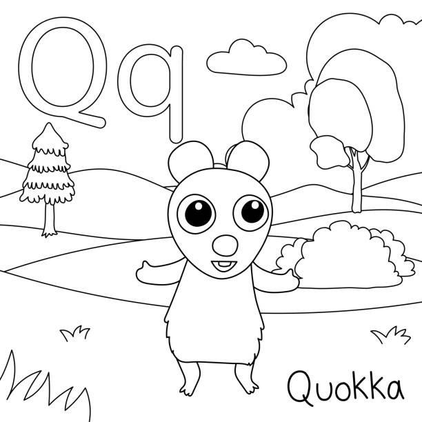 Top 60 Quokka Clip Art, Vector Graphics and Illustrations - iStock