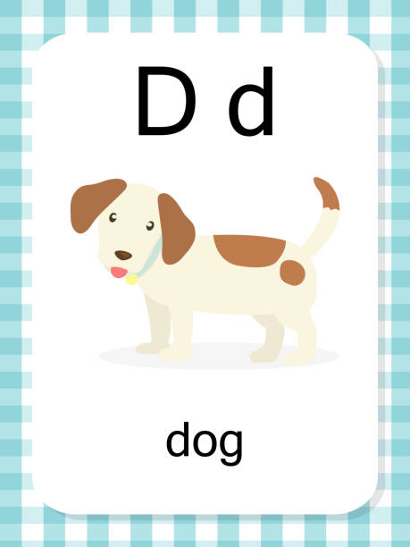 Flashcard Alphabet D Is For Dog Illustrations, Royalty-Free Vector ...