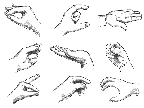 Engraved holding hand gesture. Keep in hands, vintage hand drawn gestures and hold in palm sketch vector illustration set.