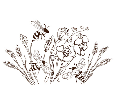 Engraving hand drawn image of honey bees flying above wildflowers, vector isolated.
