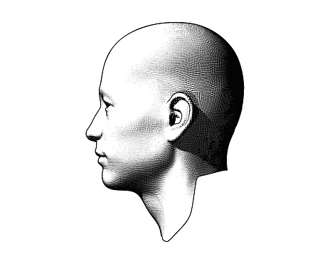 Monochrome engraving drawing bald human head in side view illustration isolated on white background