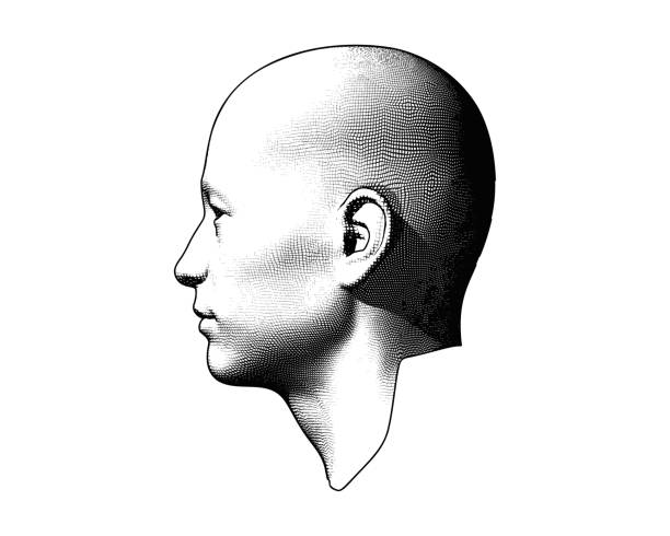Engraving human head illustration on white BG Monochrome engraving drawing bald human head in side view illustration isolated on white background human head stock illustrations