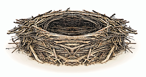 Engraving illustration of an Eagle nest