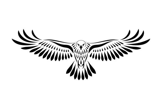 stockillustraties, clipart, cartoons en iconen met gravure van gestileerde hawk - eagle cartoon