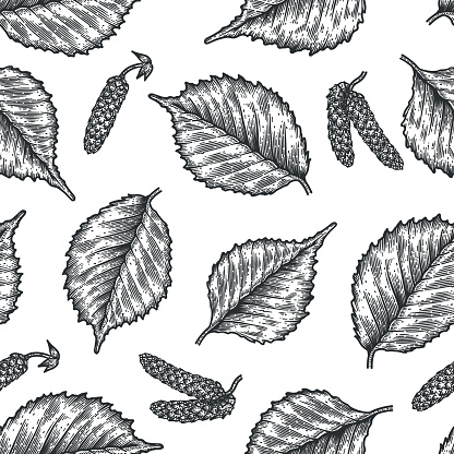Engraving seamless pattern of birch leaves and seeds.