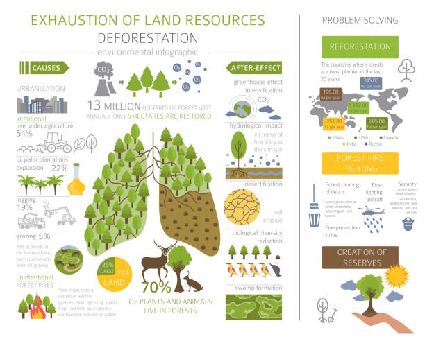 ilustrações, clipart, desenhos animados e ícones de problemas ambientais. esgotamento dos recursos da terra infográfico. desmatamento - co2 lavoura