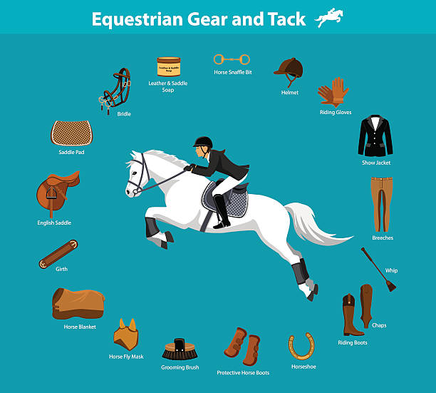 Equestrian gear and tack Woman Riding Jumping Horse in show outfit. Equestrian Sport Equipment Infographic Items. Gear and Tack accessories.  Jacket, breeches, gloves, boots, chaps, whip, horseshoes, grooming brush, english saddle, pad, blanket, girth, fly mask, snaffle bit animal harness stock illustrations
