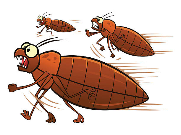 Escaping bedbugs Escaping group of scared cartoon bedbugs. Bed bugs moving animation  stock illustrations