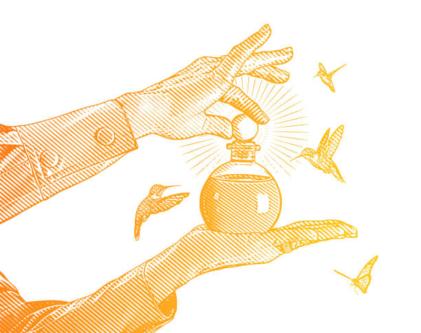Essential oil bottle and hands Hands holding essential oil bottle with hummingbirds and butterflies gold liquid skin stock illustrations
