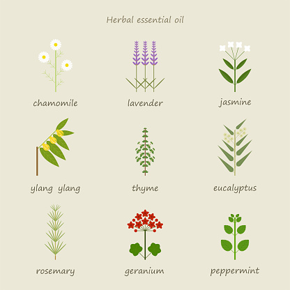 Essential oil Herb collection