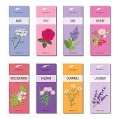 Essential oil labels set. Rose, anise, sage, rosehip, Lavender, rose Geranium, Chamomile, Valerian herb. 8 stripes collection For cosmetics perfume health care products aromatherapy