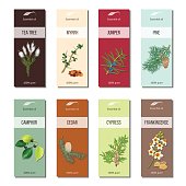 Essential oil labels set. Tea tree, myrrh, juniper, pine , cinnamon, camphor, cedar, cypress, frankincense 8 stripes collection For cosmetics perfume health care products aromatherapy