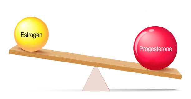 How Equilibrium Of Forces Works In Engineering