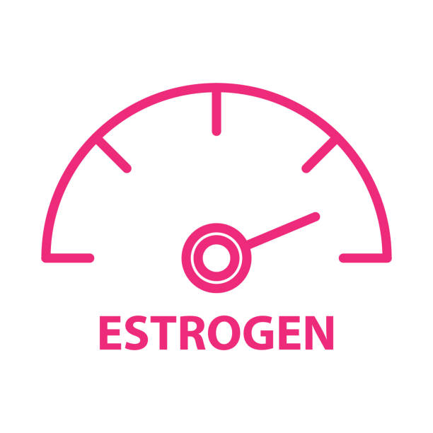 illustrazioni stock, clip art, cartoni animati e icone di tendenza di icona del misuratore di estrogeni - metabolismo