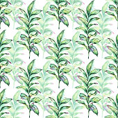 Eucalyptus leaves ink and watercolor illustration in a seamless pattern. Vector EPS10 Illustration.