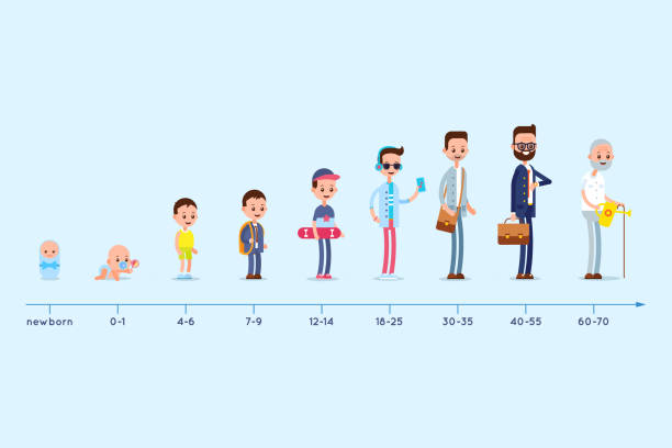 Evolution of the residence of a man from birth to old age. Stages of growing up. Life cycle graph. Evolution of the residence of a man from birth to old age. Stages of growing up. Life cycle graph. baby human age stock illustrations