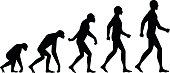 Evolution ape to man silhouette illustration concept.