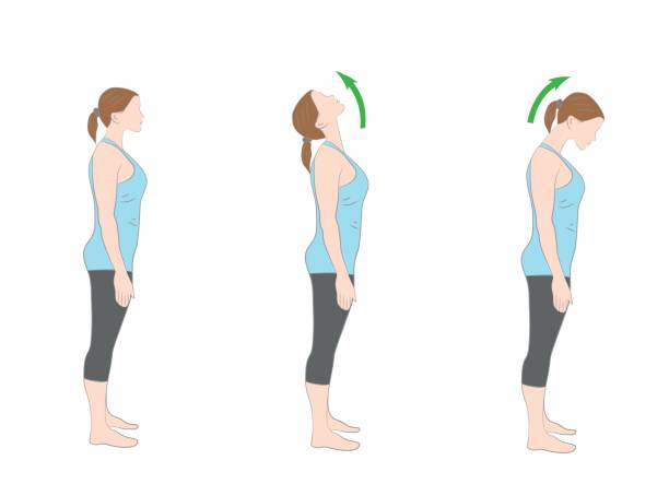 exercises for the neck. medical advice. vector illustration.  neck stock illustrations