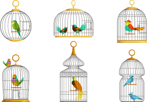 Exotic Birds in Cages Collection, Cute Colorful Birdies Vector Illustration on White Background