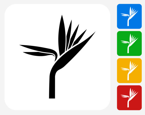 Exotic Flower Icon Flat Graphic Design Exotic Flower Icon. This 100% royalty free vector illustration features the main icon pictured in black inside a white square. The alternative color options in blue, green, yellow and red are on the right of the icon and are arranged in a vertical column. bird of paradise plant stock illustrations