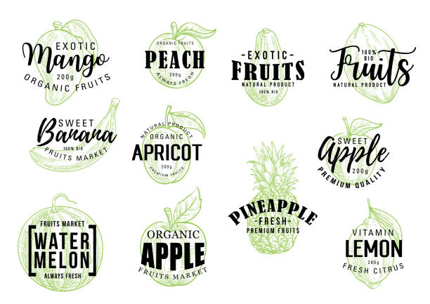 Exotic fruits market lettering sketch Exotic tropical fruits sketch lettering. Vector calligraphy of mango, peach or banana and apricot, organic apple with pineapple, watermelon and citrus lemon fruit banana icons stock illustrations