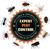Vector illustrations of pest insects that are controlled by an exterminator. Clockwise from top: cockroach, mosquito, bed bug, yellow jacket, flea, termite, tick, ant, fly.