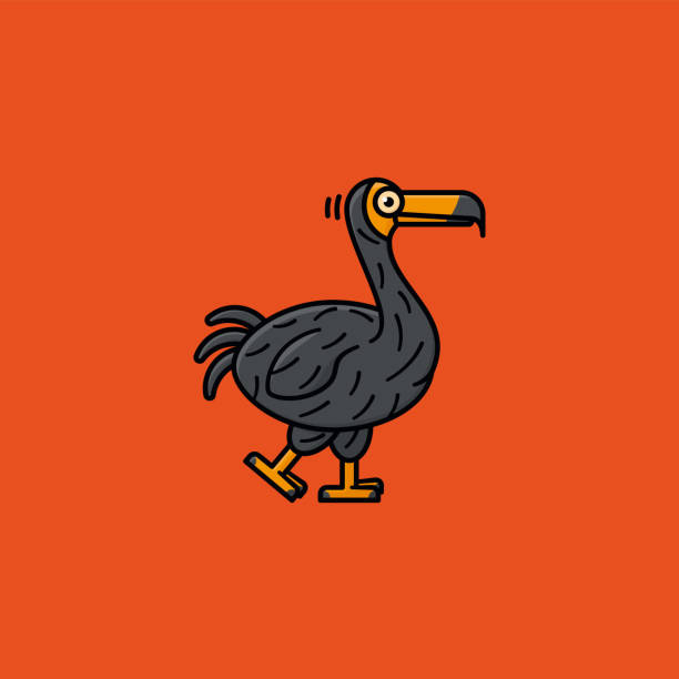 Extinct Dodo bird vector illustration vector art illustration