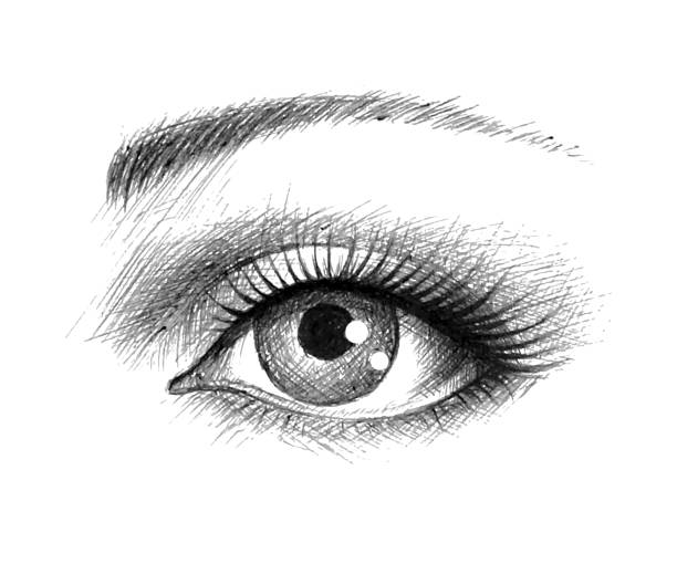 ilustraciones, imágenes clip art, dibujos animados e iconos de stock de ojo dibujado a mano - eye close up